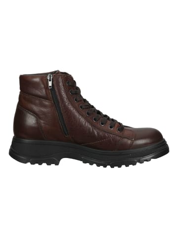 Igi&Co Stiefelette in Braun