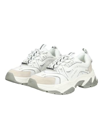 Steve Madden Sneaker in Weiß/Grau