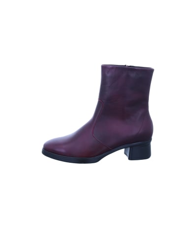 Hartjes Stiefelette in braun
