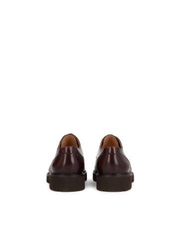 Kazar Schnürschuhe in Braun