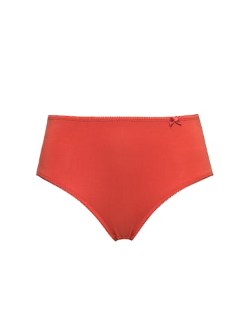 Ulla Popken Slip in ziegelrot