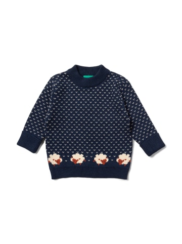 Little Green Radicals Bio-Strickpullover in Marineblau