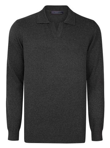 Felix Hardy Polo Kragen Langarm Pullover in Anthrazit