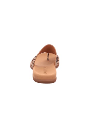 Gabor Pantolette in braun