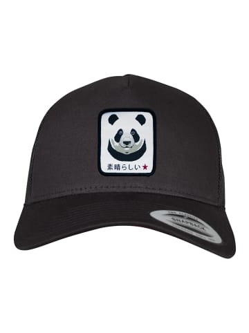 F4NT4STIC Trucker Cap Panda in schwarz