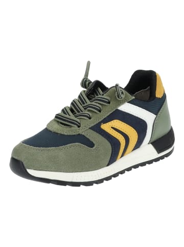 Geox Sneaker in Military