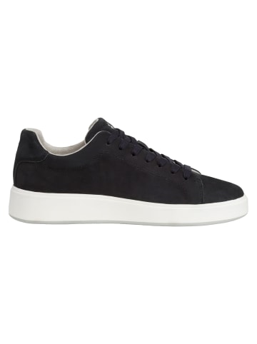 Marco Tozzi BY GUIDO MARIA KRETSCHMER Sneaker in NAVY NUBUCK