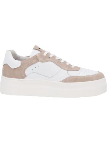 Nero Giardini Schnürschuhe in Weiß/Beige