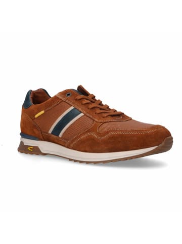 Camel Active Sneaker in braun