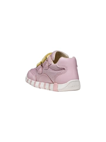 Geox Sneaker Kind aus Leder Lupidoo G A Mesh Geobuck Rose