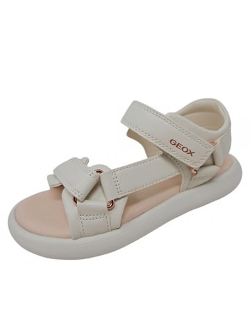 Geox Sandale  in Beige