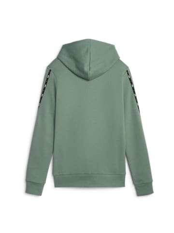 Puma Kapuzenjacke ESS Tape in Eucalyptus