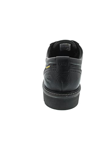 Camel Active Schnürer Schwarz