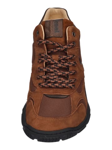 KOEL Stiefeletten ROXY SUEDE in braun