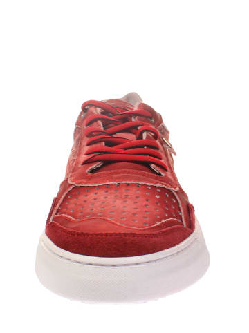 COXX BORBA Sneaker low MROCHEDO  in Rot