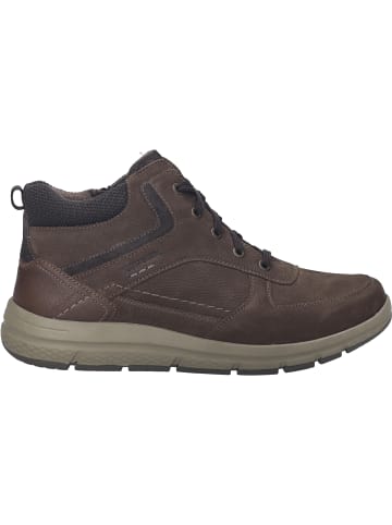 Josef Seibel Stiefelette Giuseppe 10 in braun