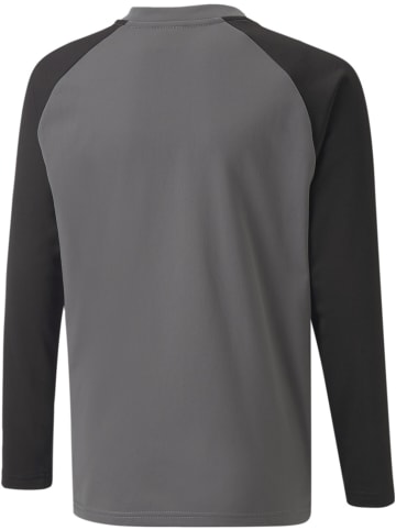 Puma Pullover "TeamLIGA Training Sweat Jr" in Grau