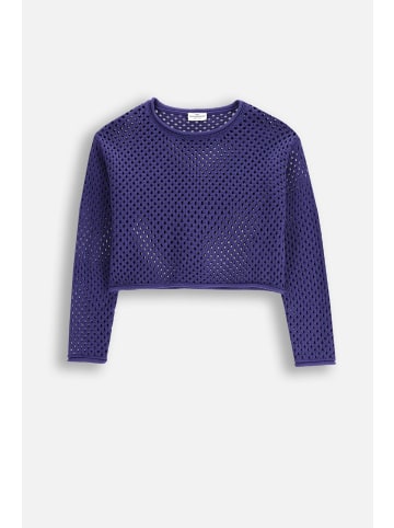 Coccodrillo Strickpullover in blau