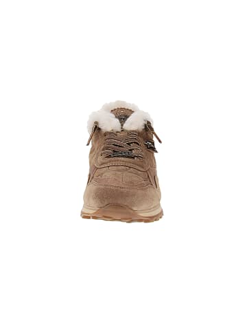 Cetti Sneaker low C-848 SRA in Beige