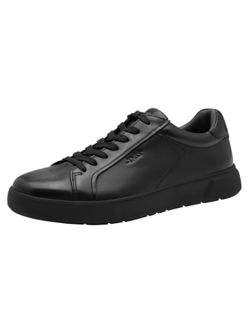 Tamaris Sneaker in BLACK