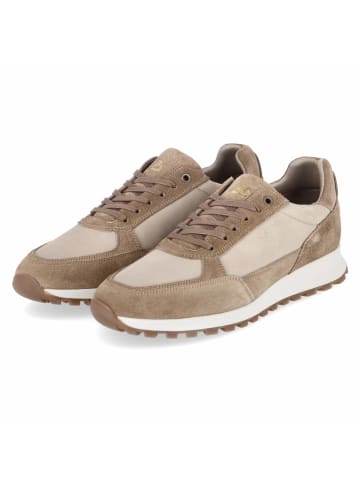 Bullboxer Low Sneaker in beige