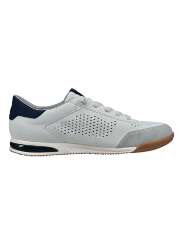 Bugatti Sneaker Weiß