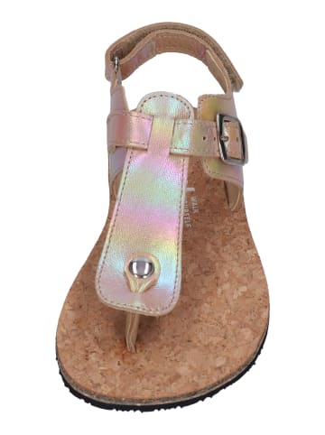 KOEL Sandalen ABRIANA METALLIC  in goldfarben