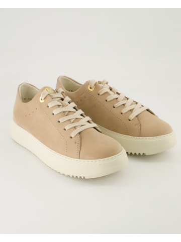 Paul Green Sneaker low in Beige