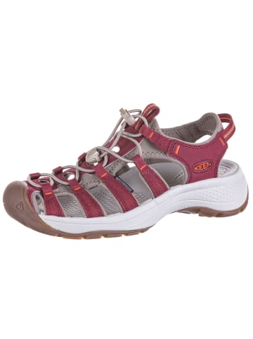 Keen Outdoorsandalen ASTORIA WEST in merlot-scarlet ibis