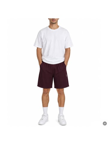 Karl Kani KK Insignia Shadow Pinstripe Soccer Shorts in Bordeaux