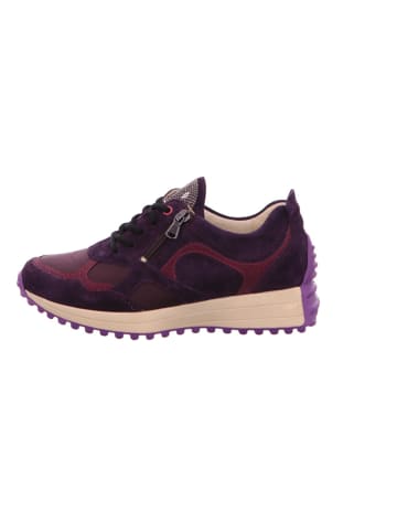 WALDLÄUFER Schnürschuhe in violett