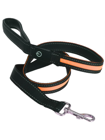 Pets Collection Hundeleine in schwarz