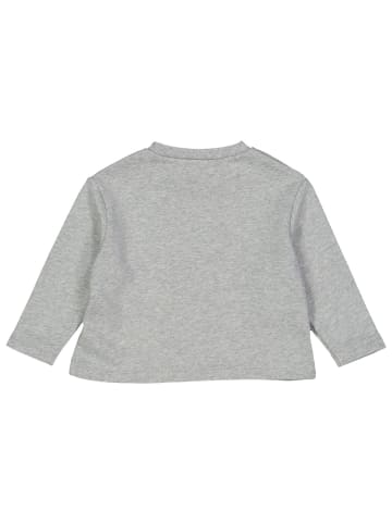 Fred´s World by GREEN COTTON Sweatshirt 1522040100 in grau