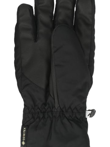 Zanier Handschuhe Valluga GTX in ZA2000 Black