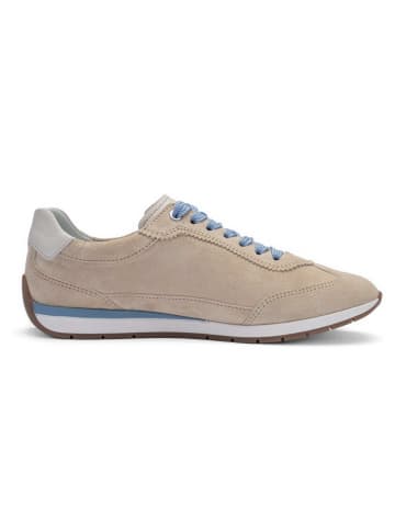 ara Sneaker in beige
