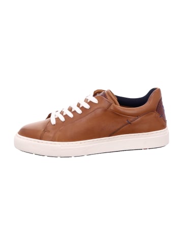 LLOYD Sneaker Low in Braun