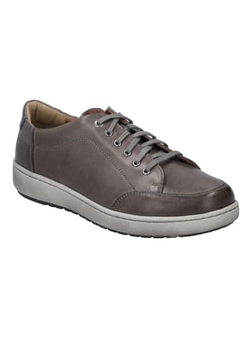 Josef Seibel Sneaker David in grau-kombi