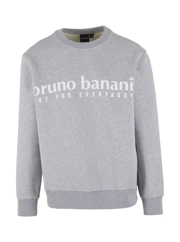 Bruno Banani Sweatshirt FARLEY in Grau / Melange