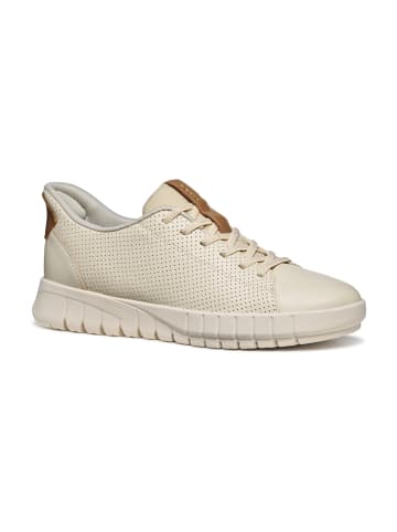 Geox Sneaker Low in Beige
