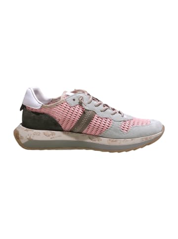 Cetti Sneaker Low in Grau