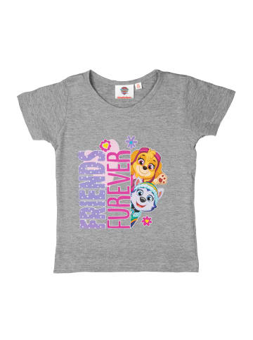 United Labels Paw Patrol T-Shirt Skye und Everest - Friends forever in grau