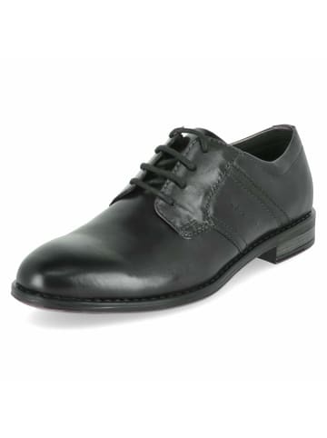 Bugatti Schnürhalbschuh in grün