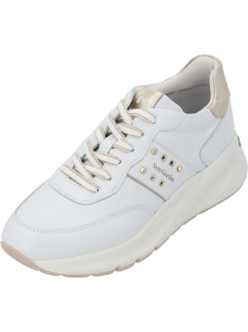 Nero Giardini Schnürschuhe in bianco