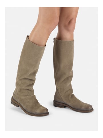 Felmini Stiefel in Grau/Braun