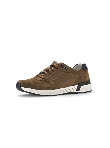 Gabor Sneaker für Herren in braun