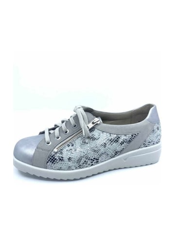 Solidus Komfort Schnürschuhe in Grau