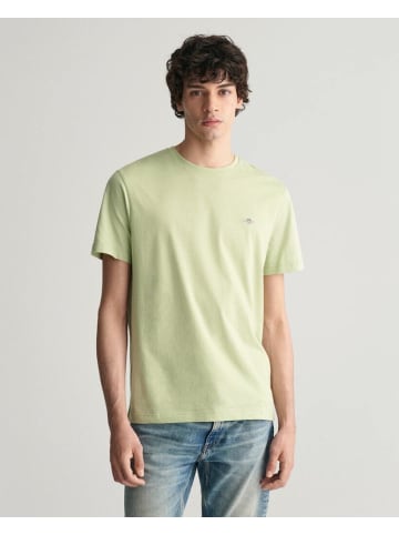 Gant T-Shirt in milky matcha