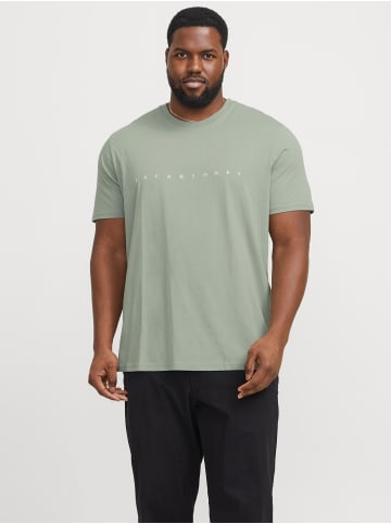 JACK & JONES PLUS T-shirt in Iceberg Green