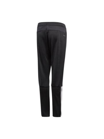 adidas Sporthose Regi18 in Schwarz