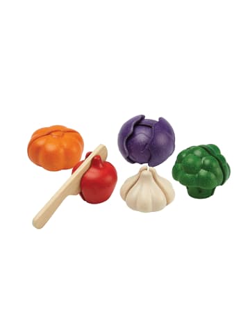 Plan Toys Gemüse 5-farbiges Set ab 18 Monate